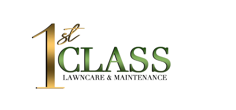 1st_Class_FL_689