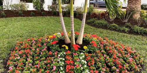 Landscaping Company, Landscaping Service, Plant Installation, Flower Beds, Rock Installation, Mulch Installation, Free Estimate