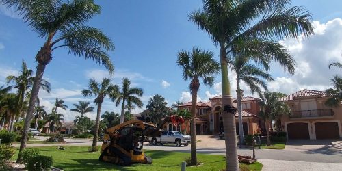 Tree Removal, Tree Service, Tree Trimming, Tree Care, Pruning, Free Estimate