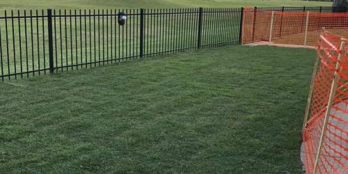 Sod Installation, Sod Installer, New Sod, Sod Company, Sod Contractor